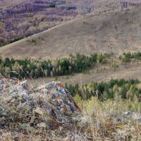 Прогулки по осени... :: Галина Ильясова