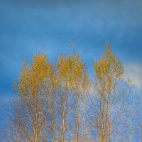 Осень. :: Юрий 