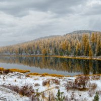 Озеро в золотом ожерелье... :: Алексей Мезенцев