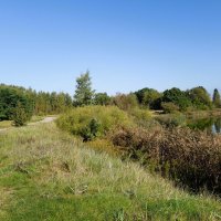 Побережье Калининградского  залива :: Рита Симонова