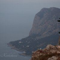 Природа Крыма :: Amazing Cosmea