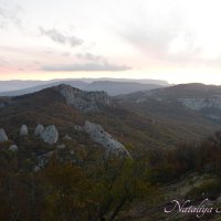 Природа Крыма :: Amazing Cosmea