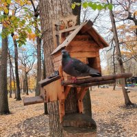 В ожидании :: Надежда 