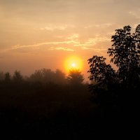 Туманное утро :: Владимир Иванович