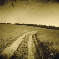 Фотография :: Денис Безногов