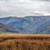 Риддер :: Дмитрий 