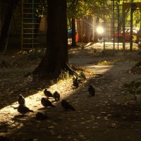 в лучах "софитов" :: Лера 