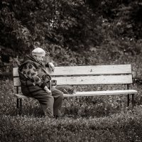 Отдых на старой скамейке сентябрьским днём :: Алексей Трифонов Отдых на старой скамейке сентябрьским днём :: Алексей Трифонов