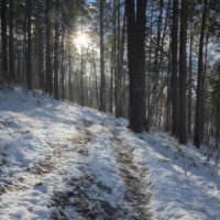 * :: Александр Иванов