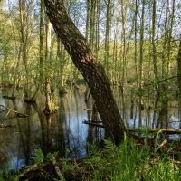 Когда много воды... :: Николай Гирш Когда много воды... :: Николай Гирш