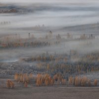 Утро туманное :: Sergey38 