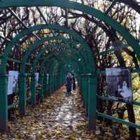 Усадьба. Осень. :: tatiana 