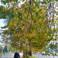 Середина осени :: Татьяна Львова