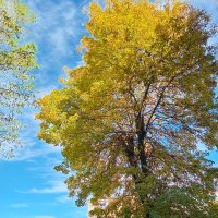 Середина осени :: Татьяна Львова
