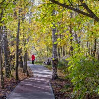 Наедине с осенью :: Александр Орлов Наедине с осенью :: Александр Орлов