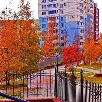 Уголок осеннего Нефтеюганска! :: Владимир 