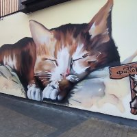 В Зеленоградске. :: Ольга 