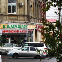 Камуфляж :: Юрий Гайворонскiий