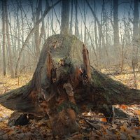 На Ерофея в лес не ходи - лесовик все кости переломает! :-) :: Андрей Заломленков