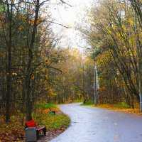 ОСЕННИЙ ДОЖДЛИВЫЙ ПАРК :: Валентина 