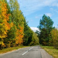 По дороге в осень :: Галина Ложечникова
