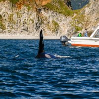 ... :: Жора Житников