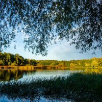 Пейзаж :: Галина Ложечникова