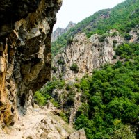 Пришлось пройти по такой тропинке :: Георгий А