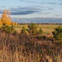 Осень :: Александр 