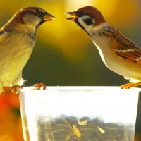 "Мы простые, ну и ладно"... :: Юрий Куликов