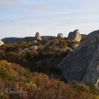 Природа Крыма :: Amazing Cosmea
