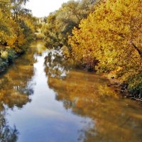 Осень на Яузе :: Ольга Довженко