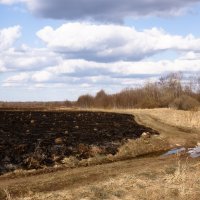 Аэродром гривочки :: Артем 