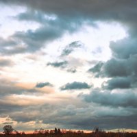 Лес за р.Полонкой :: Артем 