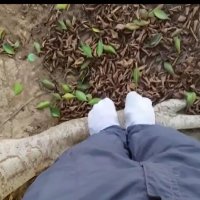 114 (28) :: CLOSE WAYS ALL