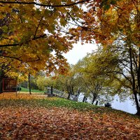 Тихое место у реки,,, :: Анатолий Колосов