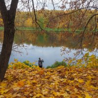 Осенний Сюжет :: юрий поляков Осенний Сюжет :: юрий поляков