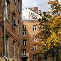 *** :: Любимова Ольга 