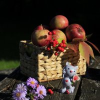 Яблочки в корзинке .. :: Татьян@ Ивановна Яблочки в корзинке .. :: Татьян@ Ивановна