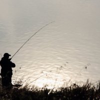 Рыбак рыбака... :: Евгений Корьевщиков