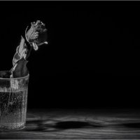 Роза в стакане... :: Алексей Мезенцев