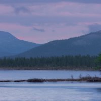 В ожидании :: Дмитрий Шишкин
