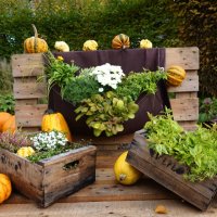 ... :: Галина ... :: Галина