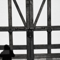 Фотография :: Денис Безногов