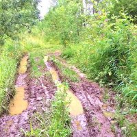 после дождя :: Владимир 