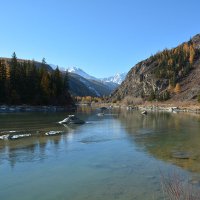 Чуя :: Валерий Медведев Чуя :: Валерий Медведев