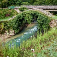 беслетский мост в абхазии :: Александр Леонов