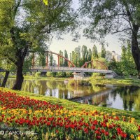 春天 :: Игорь Сарапулов 春天 :: Игорь Сарапулов