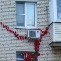 .. иллюзия : танцевала "женщина "фламенко...... :: galalog galalog .. иллюзия : танцевала "женщина "фламенко...... :: galalog galalog