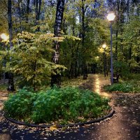 Вечерний парк. :: Любовь Вечерний парк. :: Любовь